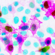 Illustration for article titled OMG These Images of the Sub-Microscopic World Are Amazing
